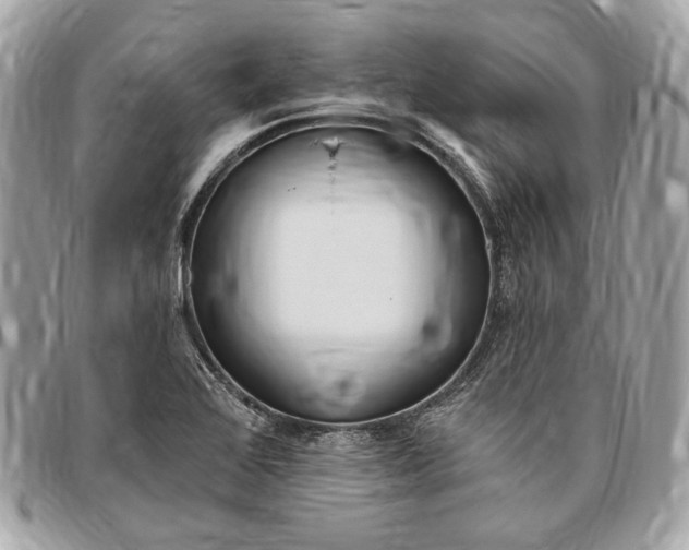 X0000096431368200802071716