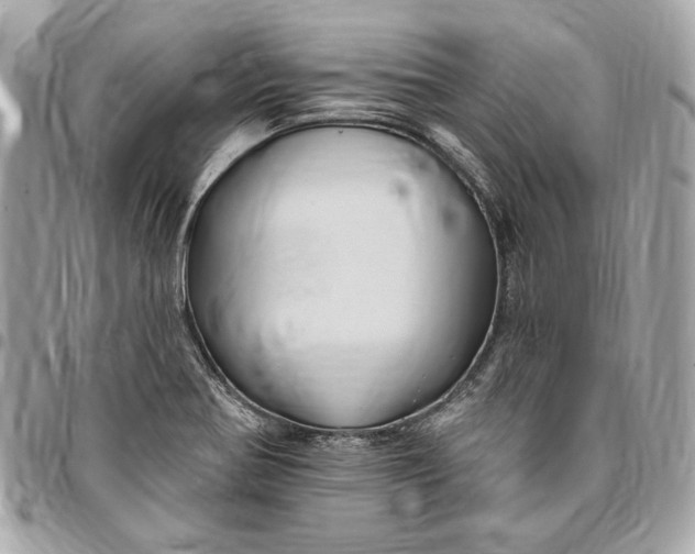 X0000096431370200802071716
