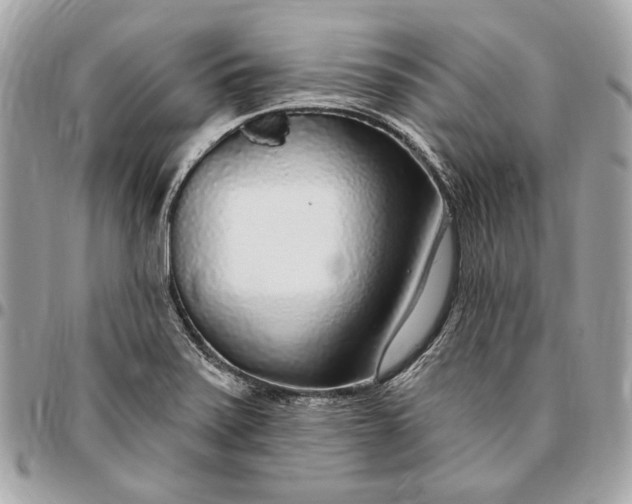 X0000096431371200802071716