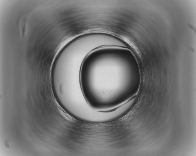 X0000096431372200802071716