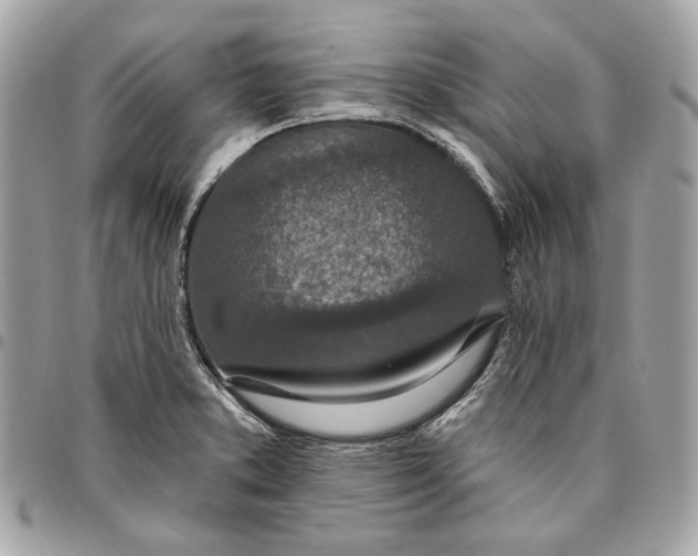 X0000096431373200802071716