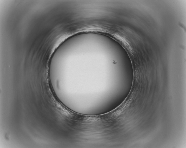 X0000096431374200802071716