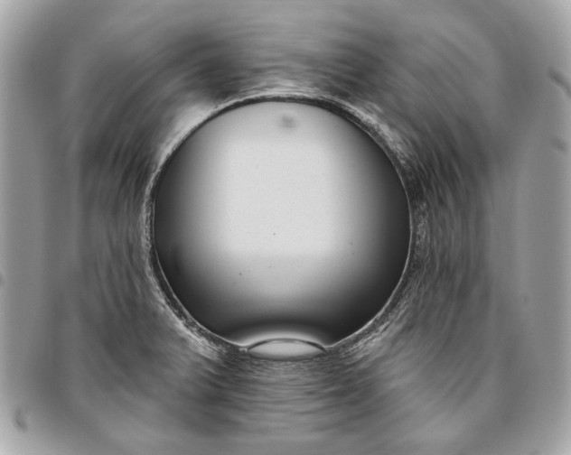 X0000096431375200802071716
