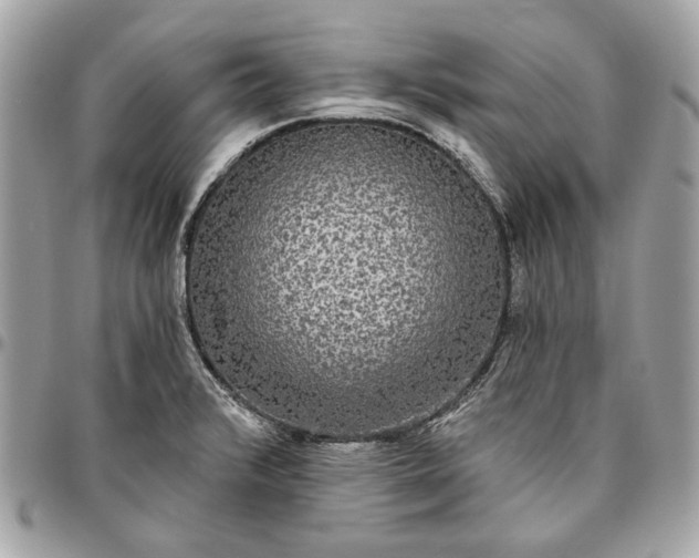 X0000096431376200802071716