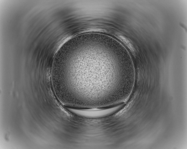 X0000096431377200802071716