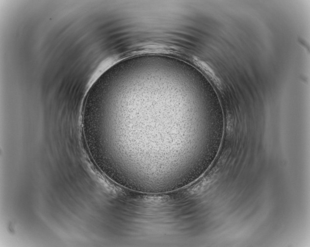 X0000096431378200802071716