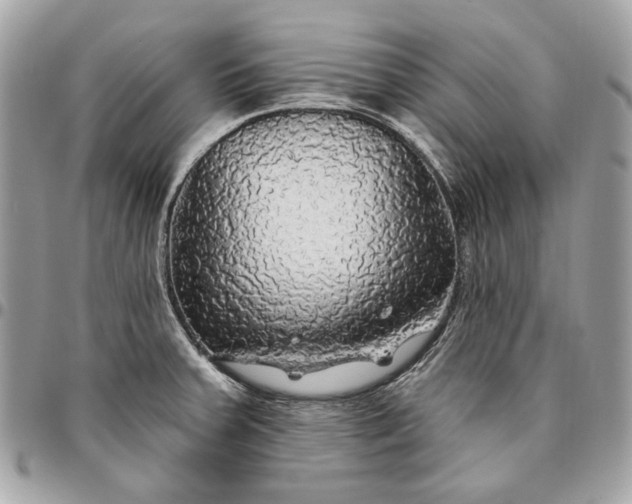 X0000096431379200802071716
