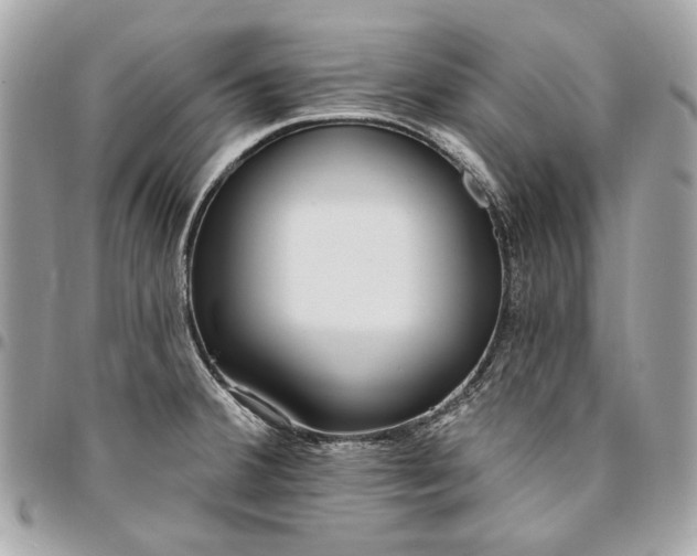 X0000096431380200802071716
