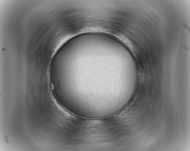 X0000096431382200802071716