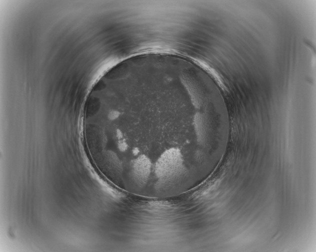 X0000096431383200802071716