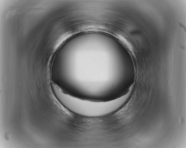 X0000096431384200802071716