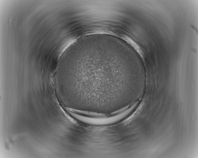 X0000096431385200802071716