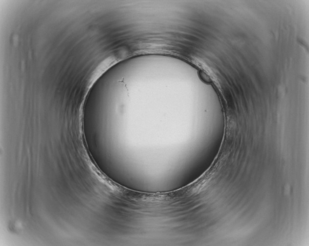X0000096431386200802071716