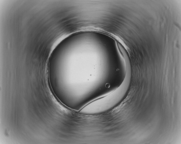 X0000096431387200802071715