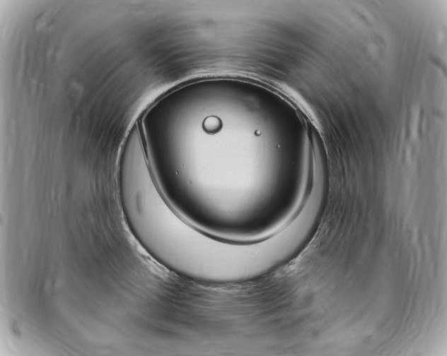 X0000096431388200802071715