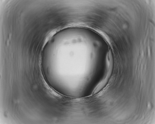 X0000096431390200802071715