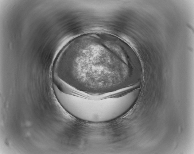 X0000096431392200802071715