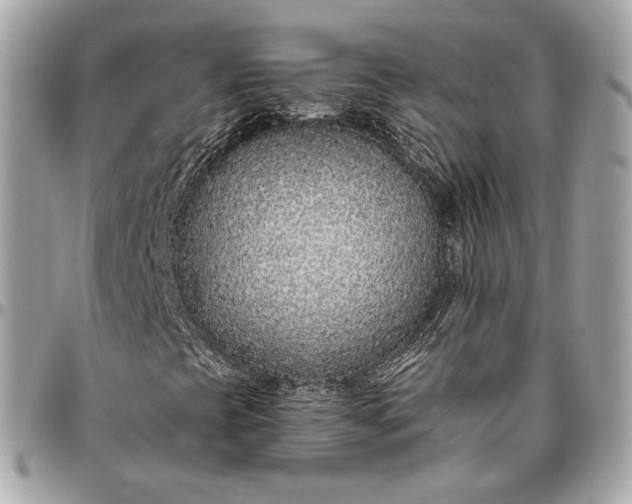X0000096431393200802071715