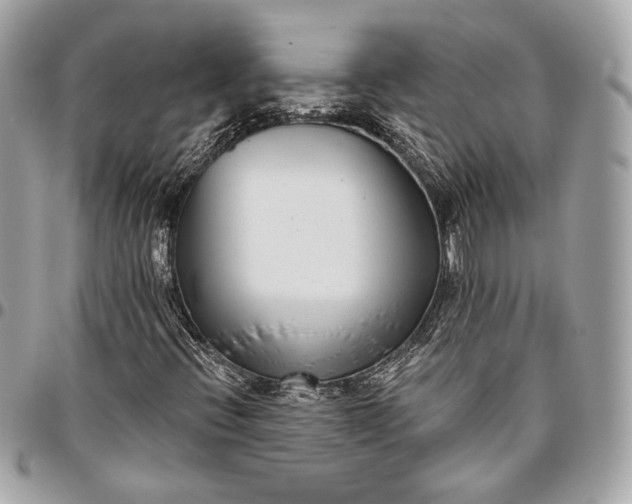 X0000096431396200802071715