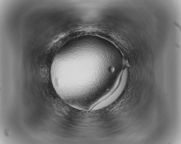 X0000096431398200802071715