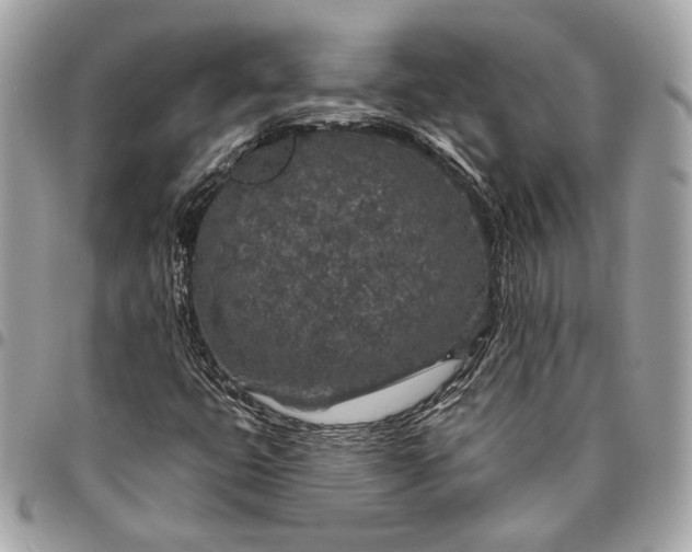 X0000096431399200802071715