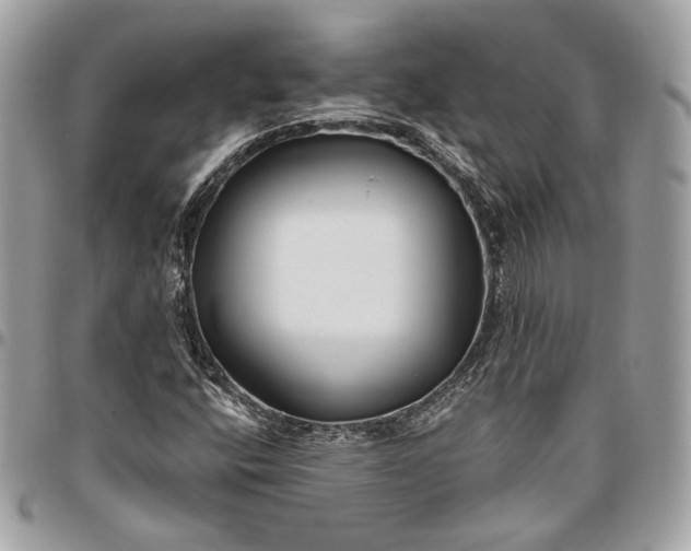 X0000096431400200802071715
