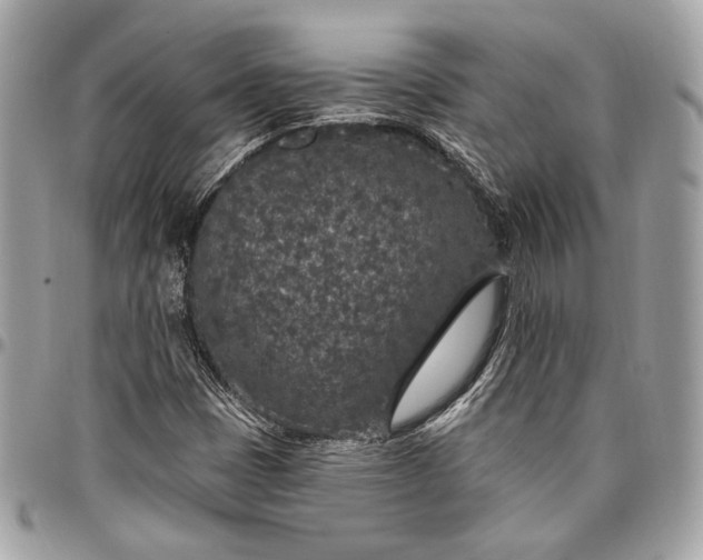 X0000096431401200802071715