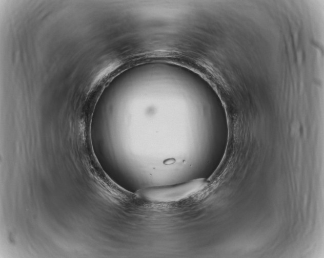 X0000096431402200802071715