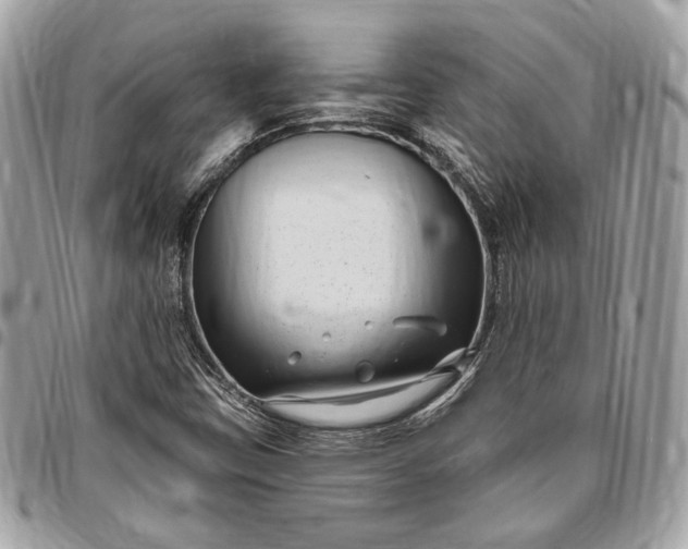 X0000096431403200802071715