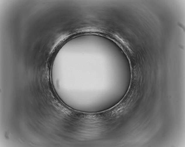 X0000096431408200802071715