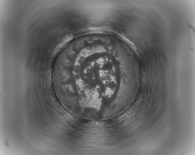 X0000096431411200802071715