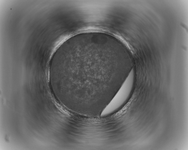 X0000096431413200802071715