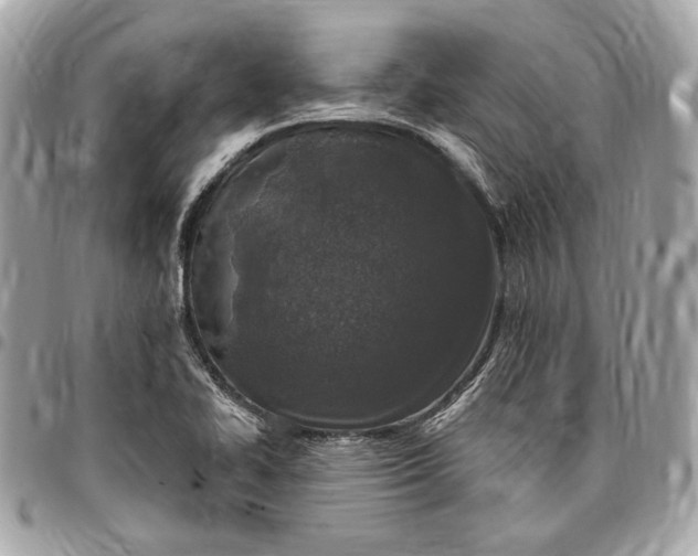 X0000096431414200802071715