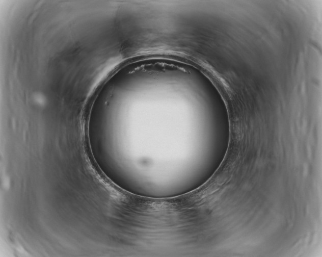 X0000096431416200802071715