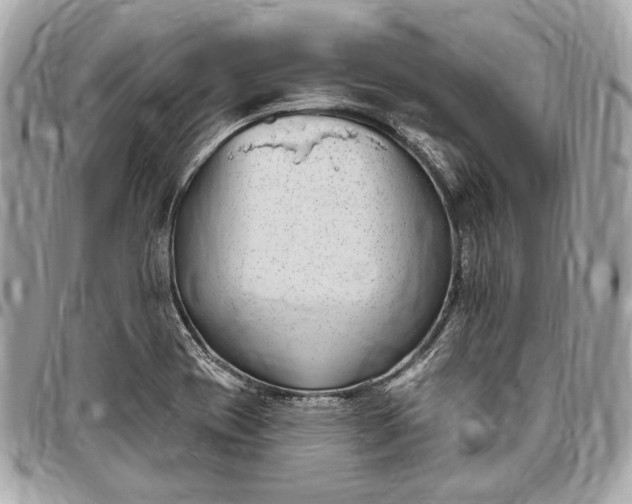 X0000096431417200802071715