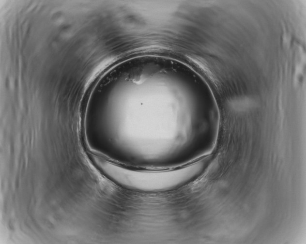 X0000096431418200802071715