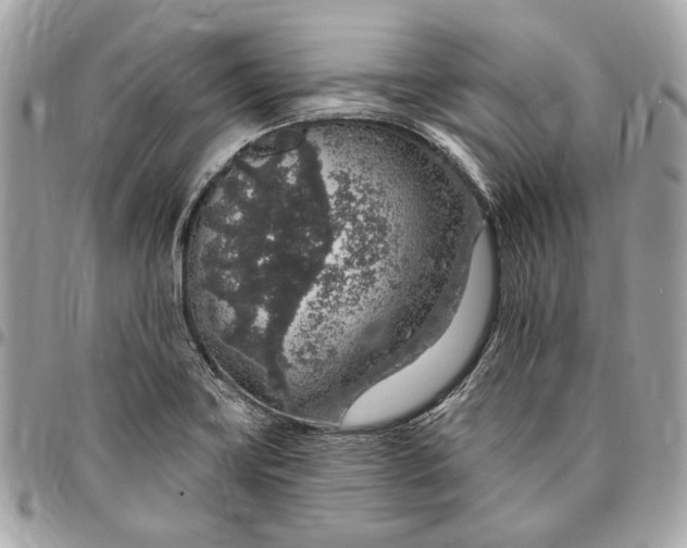 X0000096431419200802071715