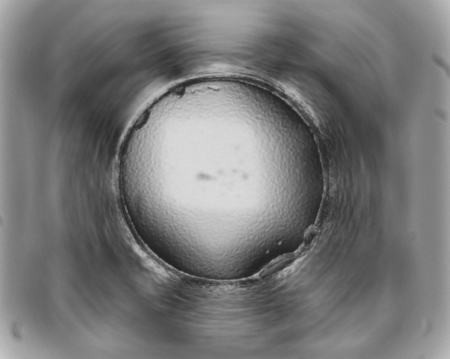 X0000096431421200802071715
