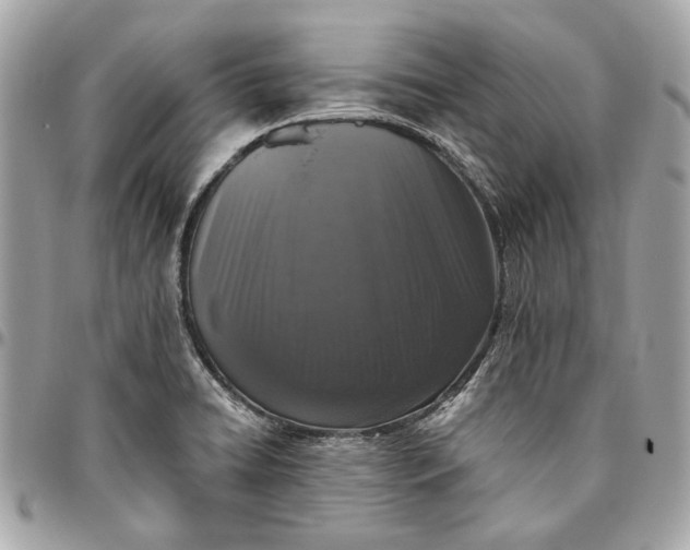 X0000096431422200802071715