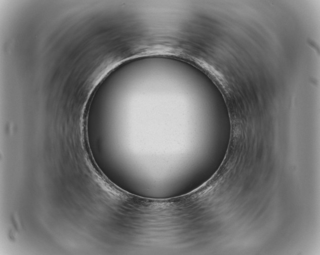 X0000096431423200802071715