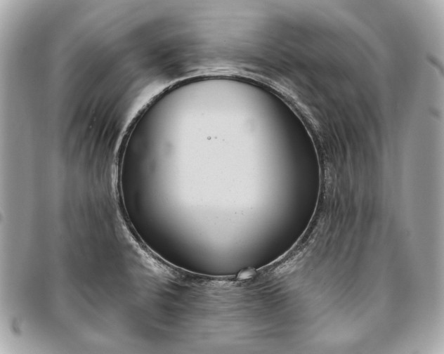 X0000096431424200802071715