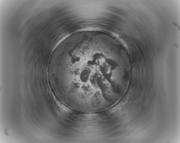 X0000096431425200802071715