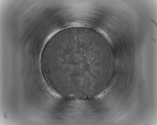 X0000096431427200802071715