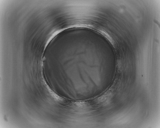 X0000096431428200802071715