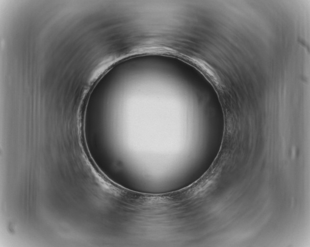 X0000096431430200802071715
