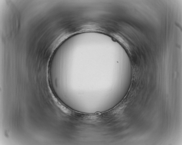X0000096431431200802071715