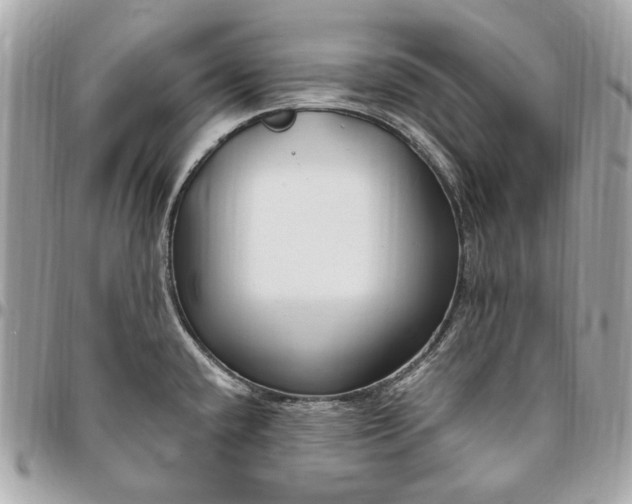 X0000096431432200802071715