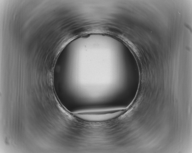 X0000096431433200802071715