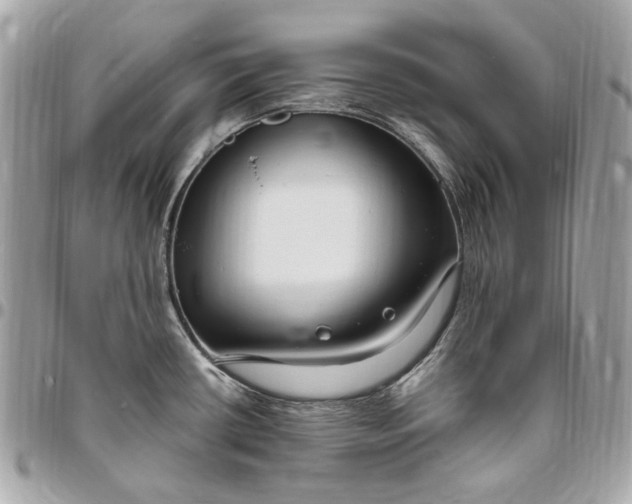 X0000096431434200802071715