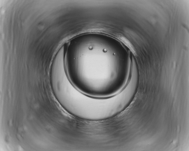 X0000096431436200802071715